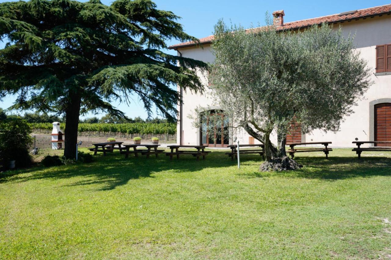 Agriturismo Vigna Sul Lago Montefiascone Εξωτερικό φωτογραφία