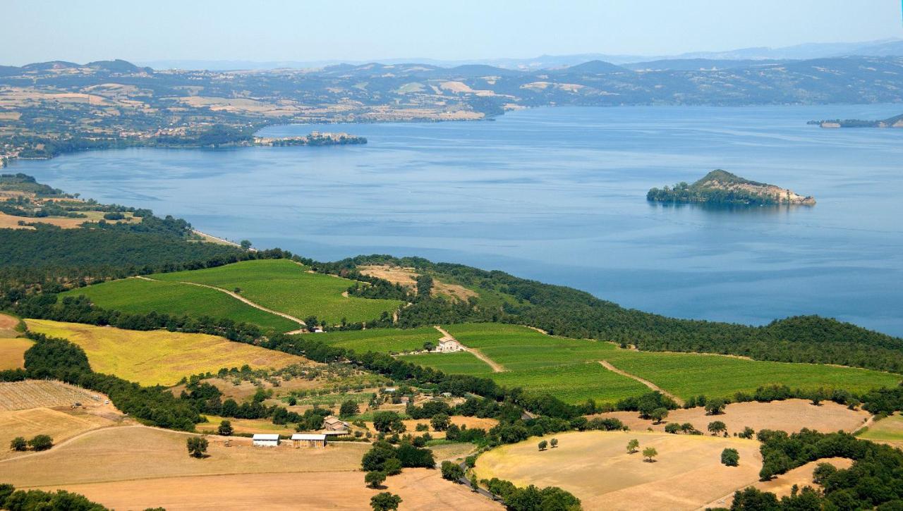 Agriturismo Vigna Sul Lago Montefiascone Εξωτερικό φωτογραφία